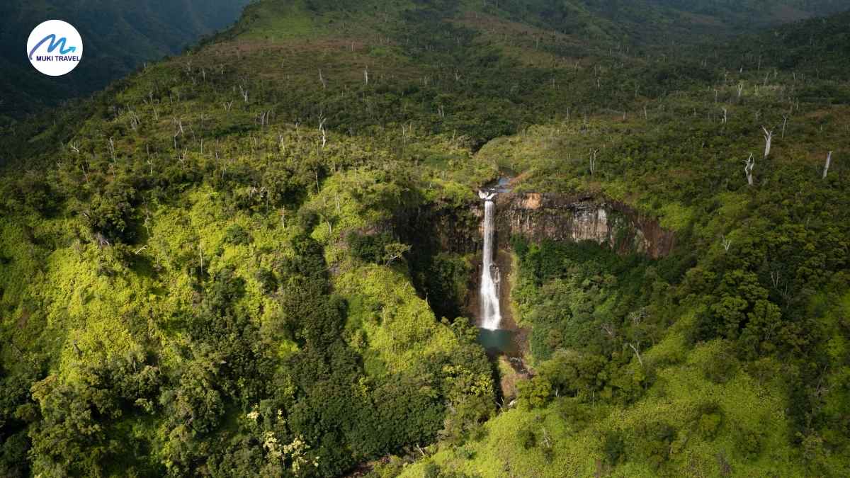 Hidden Gems Jogja 2025: 10 Tempat Wisata Tersembunyi di Jogja dan Anti Mainstream Versi Muki Travel